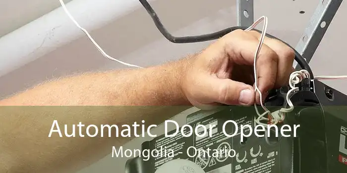 Automatic Door Opener Mongolia - Ontario