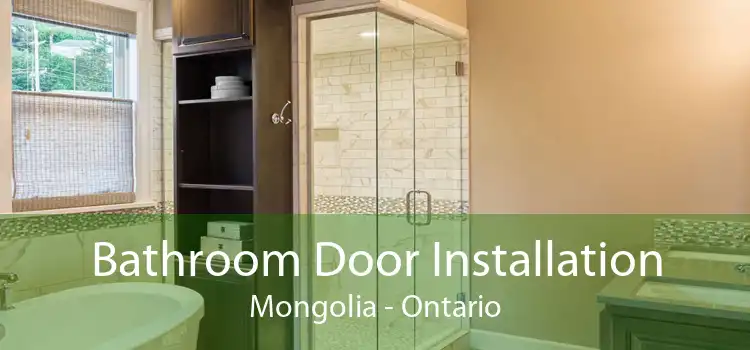 Bathroom Door Installation Mongolia - Ontario