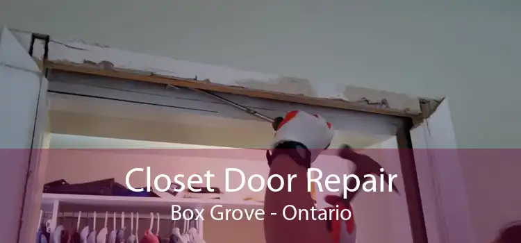 Closet Door Repair Box Grove - Ontario