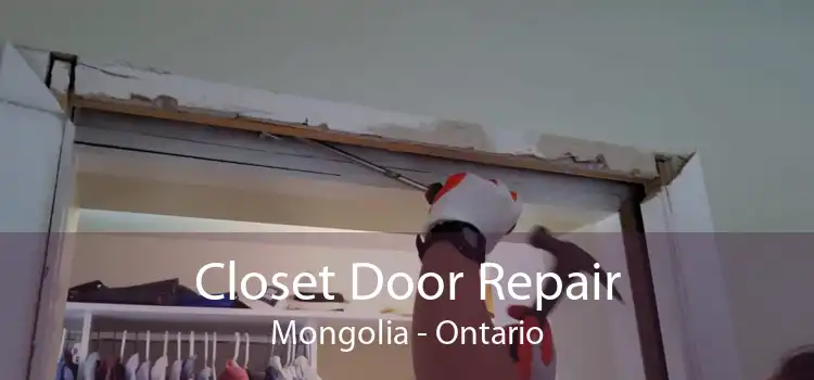Closet Door Repair Mongolia - Ontario
