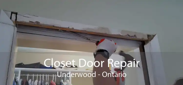 Closet Door Repair Underwood - Ontario