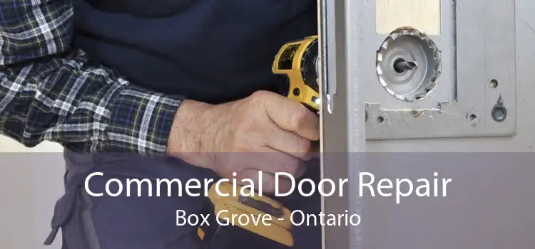 Commercial Door Repair Box Grove - Ontario