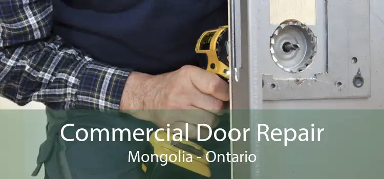 Commercial Door Repair Mongolia - Ontario