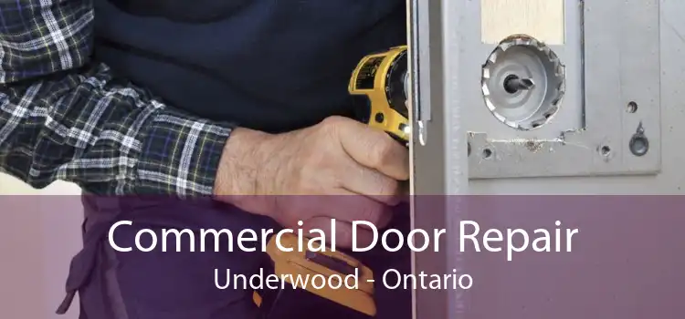 Commercial Door Repair Underwood - Ontario