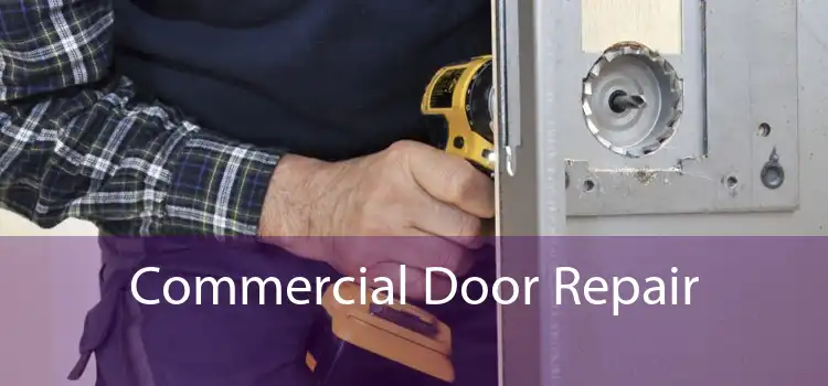 Commercial Door Repair