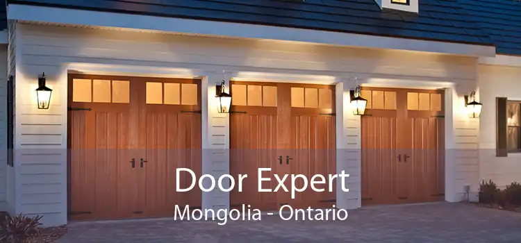 Door Expert Mongolia - Ontario