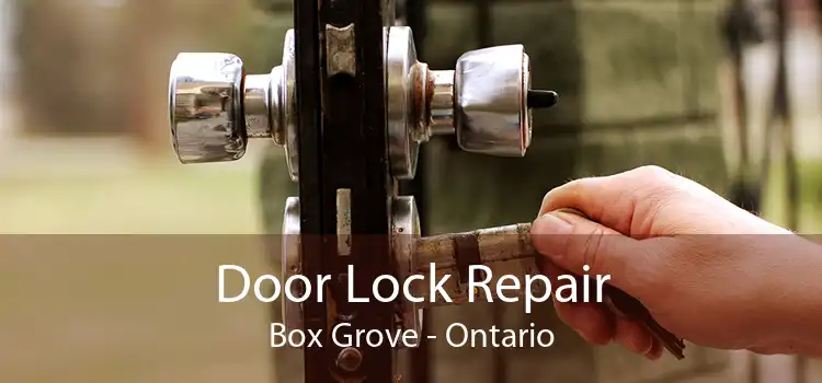 Door Lock Repair Box Grove - Ontario