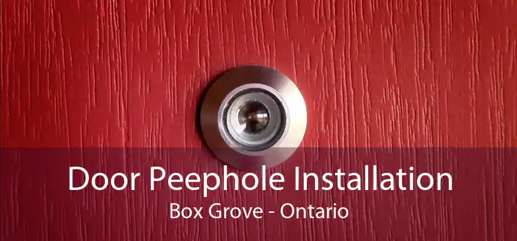 Door Peephole Installation Box Grove - Ontario