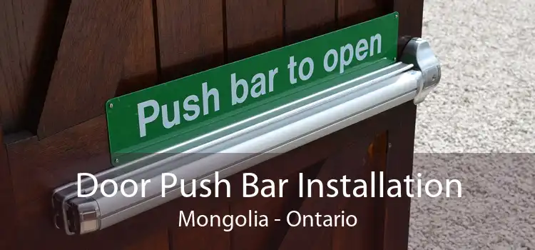 Door Push Bar Installation Mongolia - Ontario