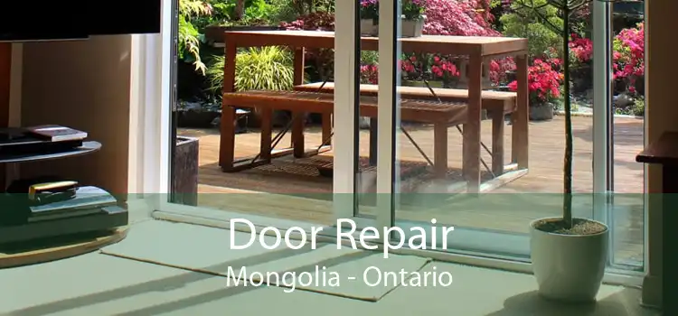 Door Repair Mongolia - Ontario