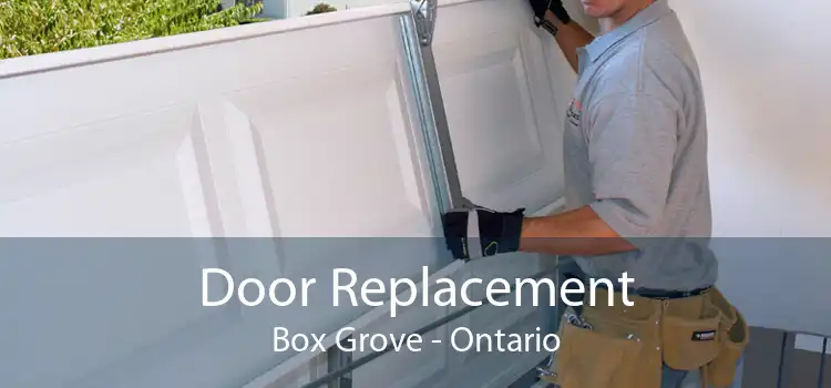 Door Replacement Box Grove - Ontario