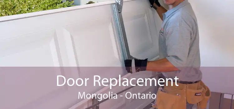 Door Replacement Mongolia - Ontario