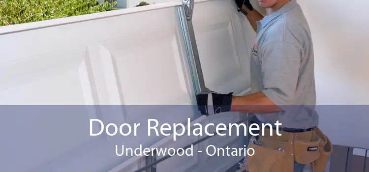 Door Replacement Underwood - Ontario