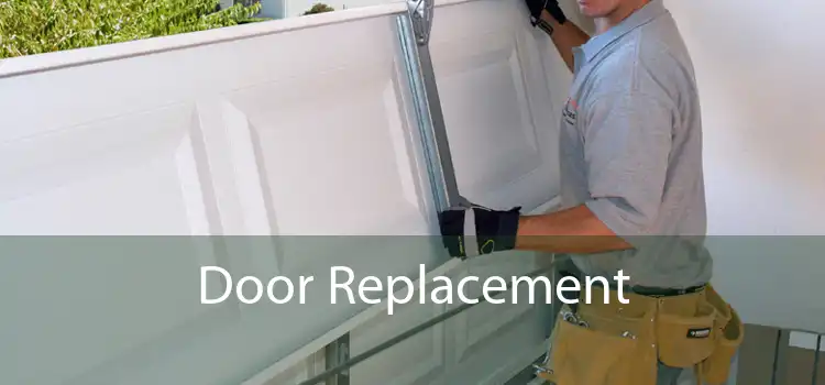 Door Replacement