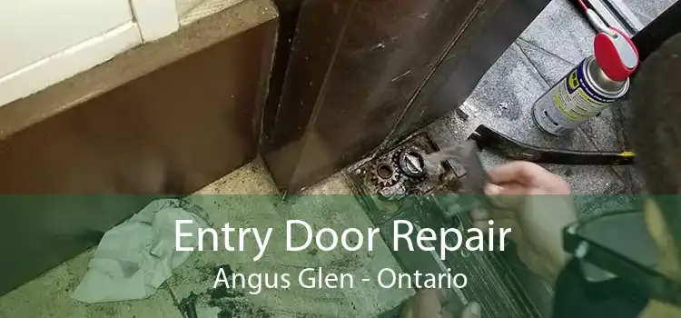 Entry Door Repair Angus Glen - Ontario