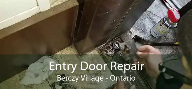 Entry Door Repair Berczy Village - Ontario