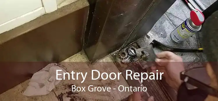Entry Door Repair Box Grove - Ontario
