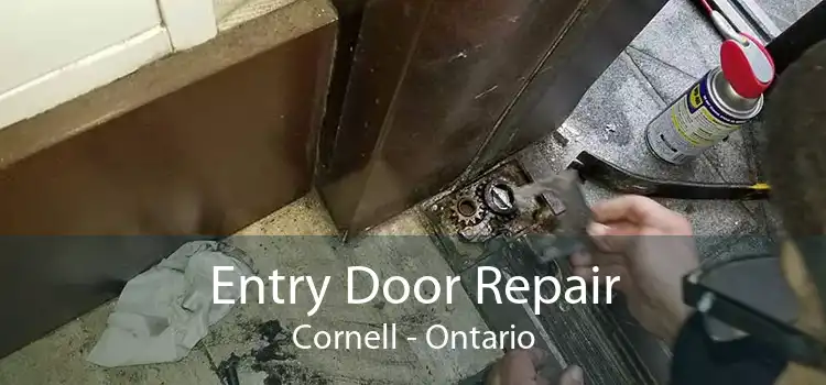Entry Door Repair Cornell - Ontario