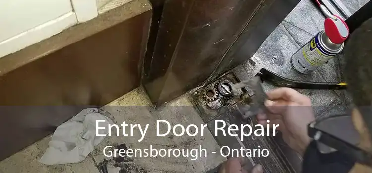 Entry Door Repair Greensborough - Ontario