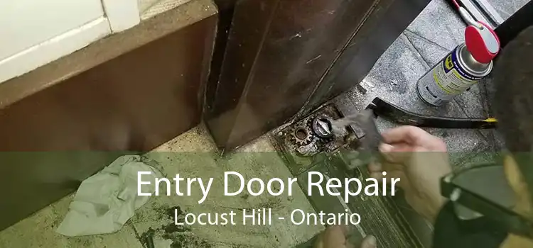 Entry Door Repair Locust Hill - Ontario