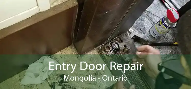 Entry Door Repair Mongolia - Ontario