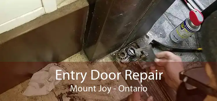 Entry Door Repair Mount Joy - Ontario
