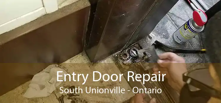 Entry Door Repair South Unionville - Ontario
