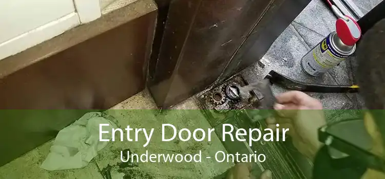 Entry Door Repair Underwood - Ontario