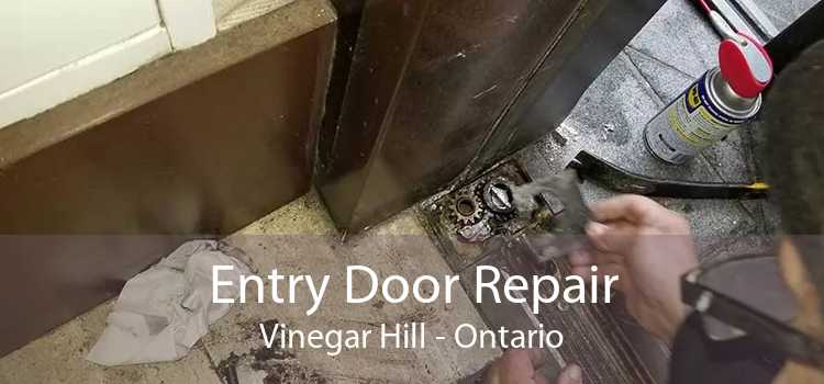 Entry Door Repair Vinegar Hill - Ontario