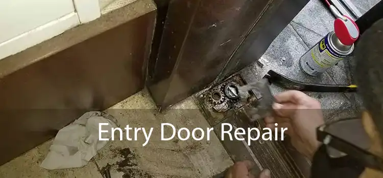 Entry Door Repair 
