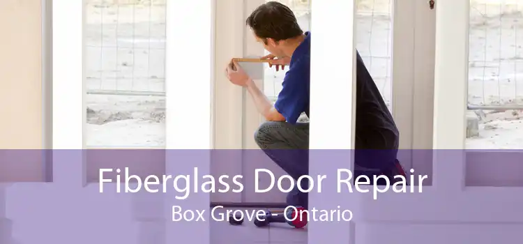 Fiberglass Door Repair Box Grove - Ontario