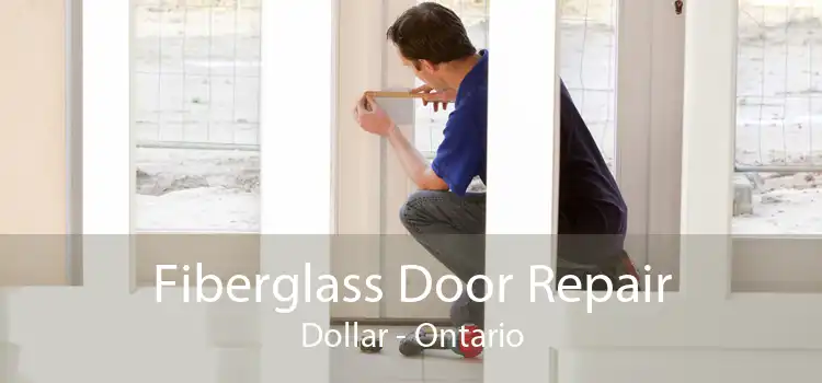 Fiberglass Door Repair Dollar - Ontario