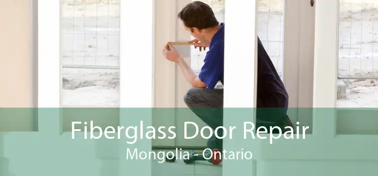Fiberglass Door Repair Mongolia - Ontario