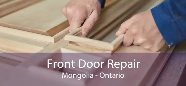 Front Door Repair Mongolia - Ontario