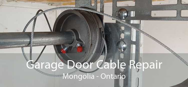Garage Door Cable Repair Mongolia - Ontario