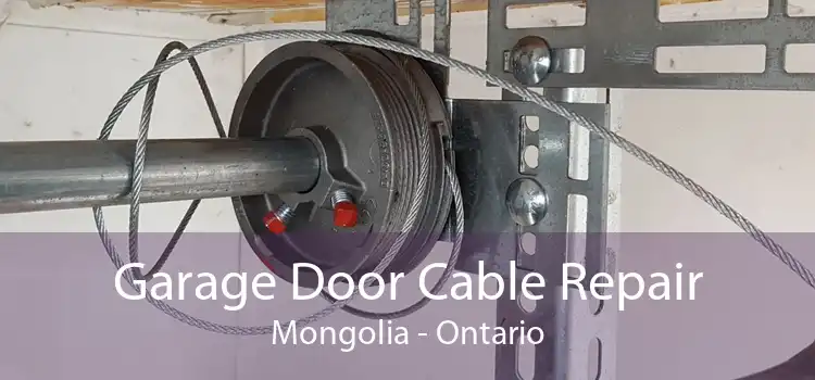 Garage Door Cable Repair Mongolia - Ontario