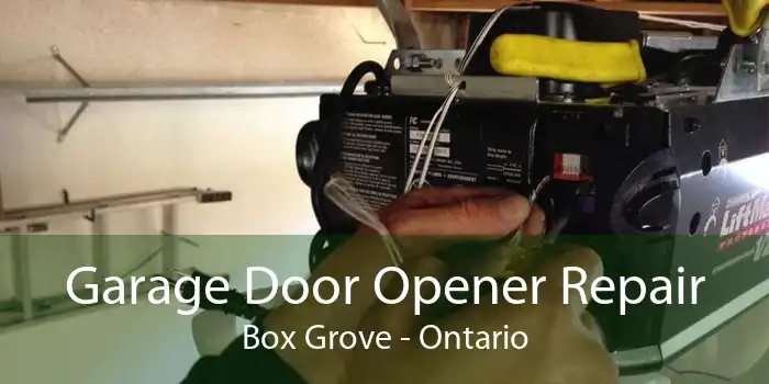 Garage Door Opener Repair Box Grove - Ontario