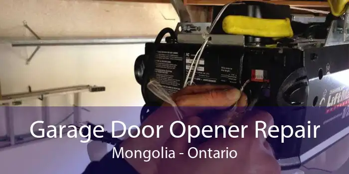Garage Door Opener Repair Mongolia - Ontario