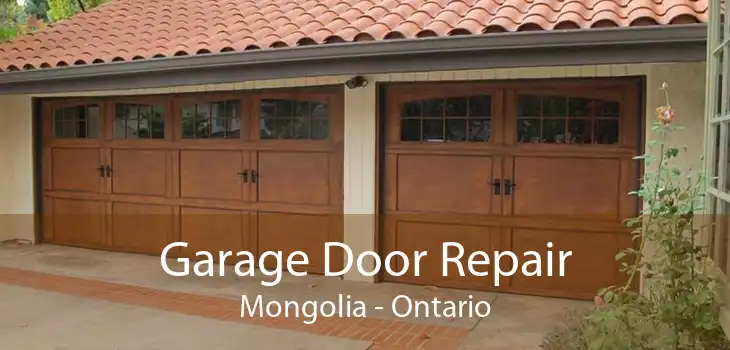 Garage Door Repair Mongolia - Ontario