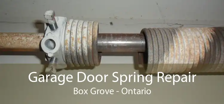 Garage Door Spring Repair Box Grove - Ontario