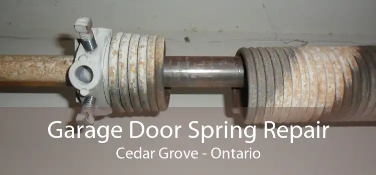 Garage Door Spring Repair Cedar Grove - Ontario