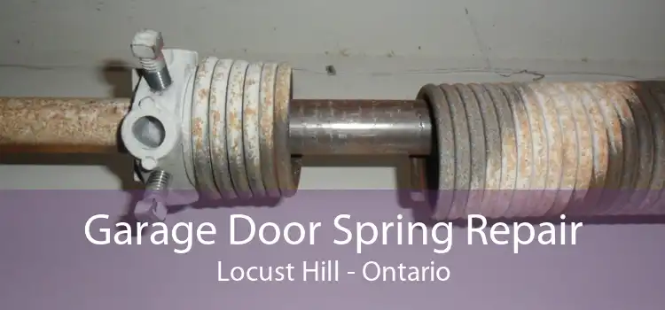 Garage Door Spring Repair Locust Hill - Ontario