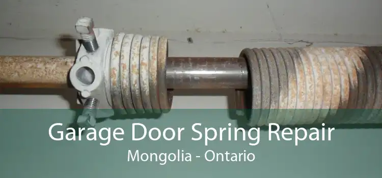 Garage Door Spring Repair Mongolia - Ontario