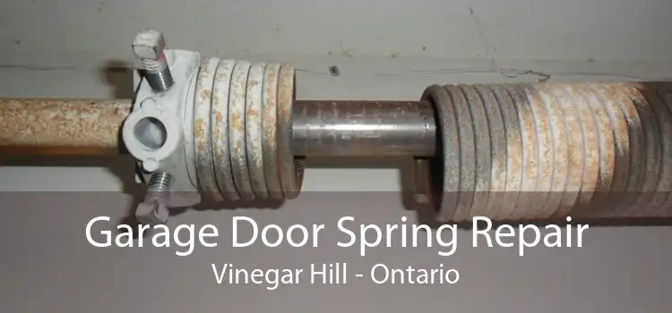 Garage Door Spring Repair Vinegar Hill - Ontario