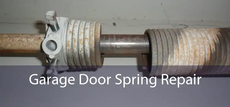 Garage Door Spring Repair