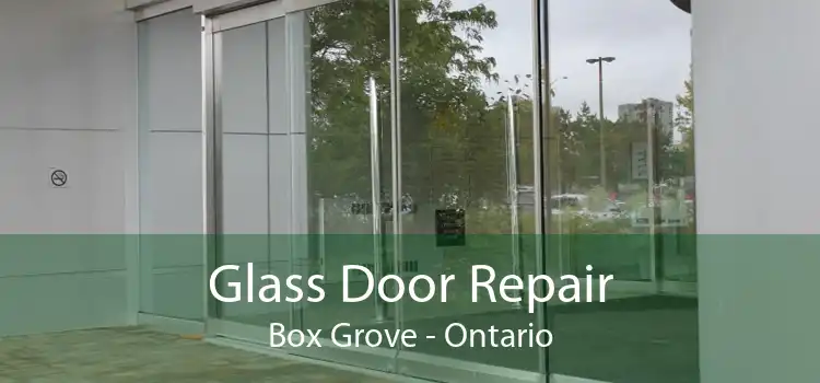 Glass Door Repair Box Grove - Ontario