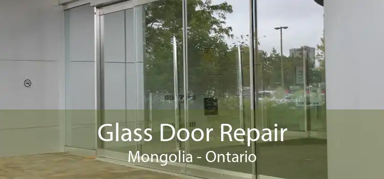Glass Door Repair Mongolia - Ontario