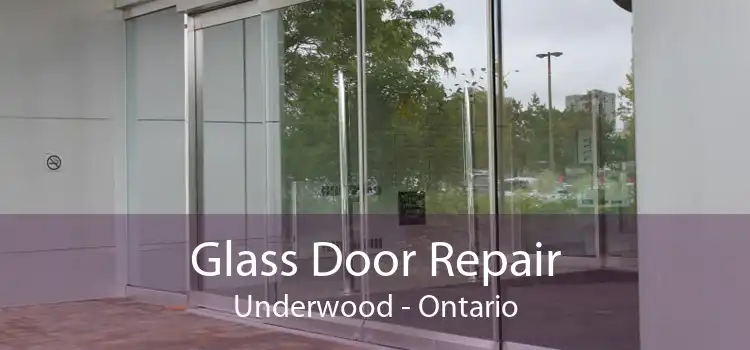 Glass Door Repair Underwood - Ontario