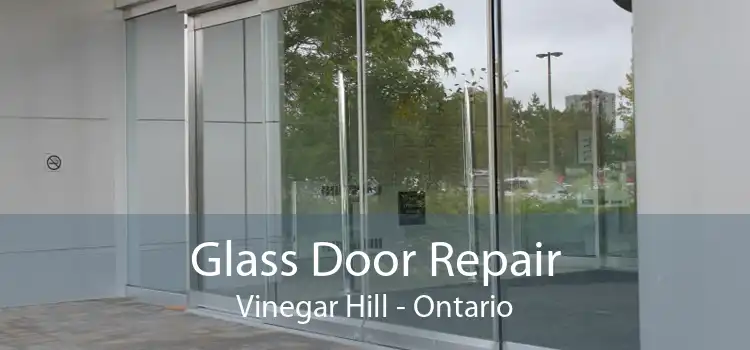 Glass Door Repair Vinegar Hill - Ontario