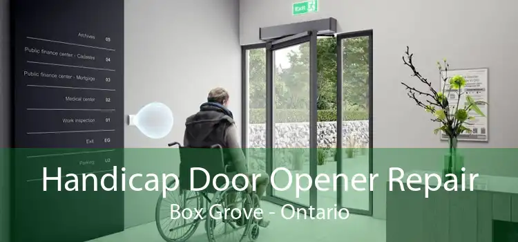 Handicap Door Opener Repair Box Grove - Ontario